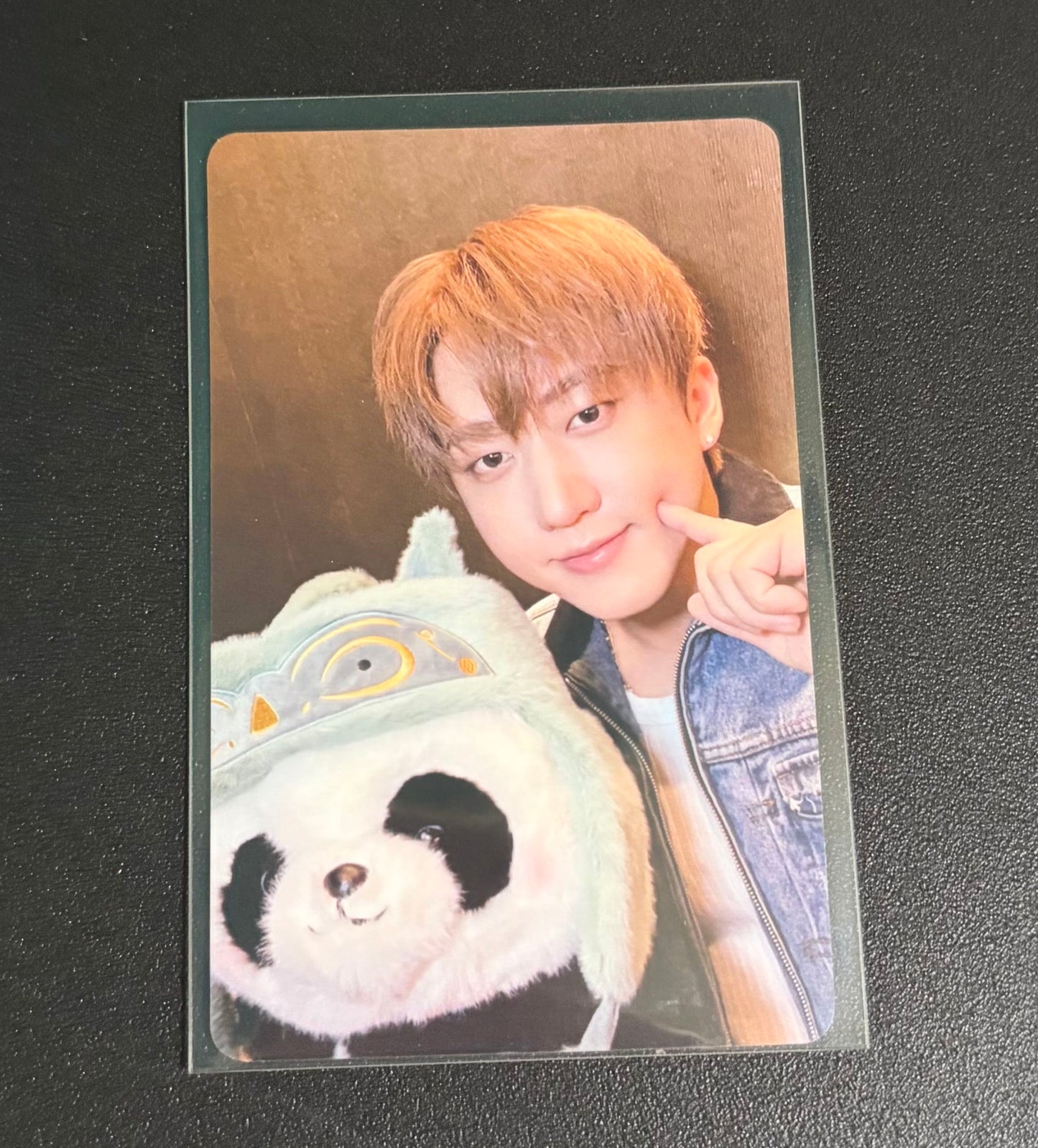 Photocard Sleeves (50 Pack) 56 x 87mm